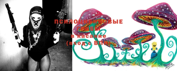 прущий лед Абаза